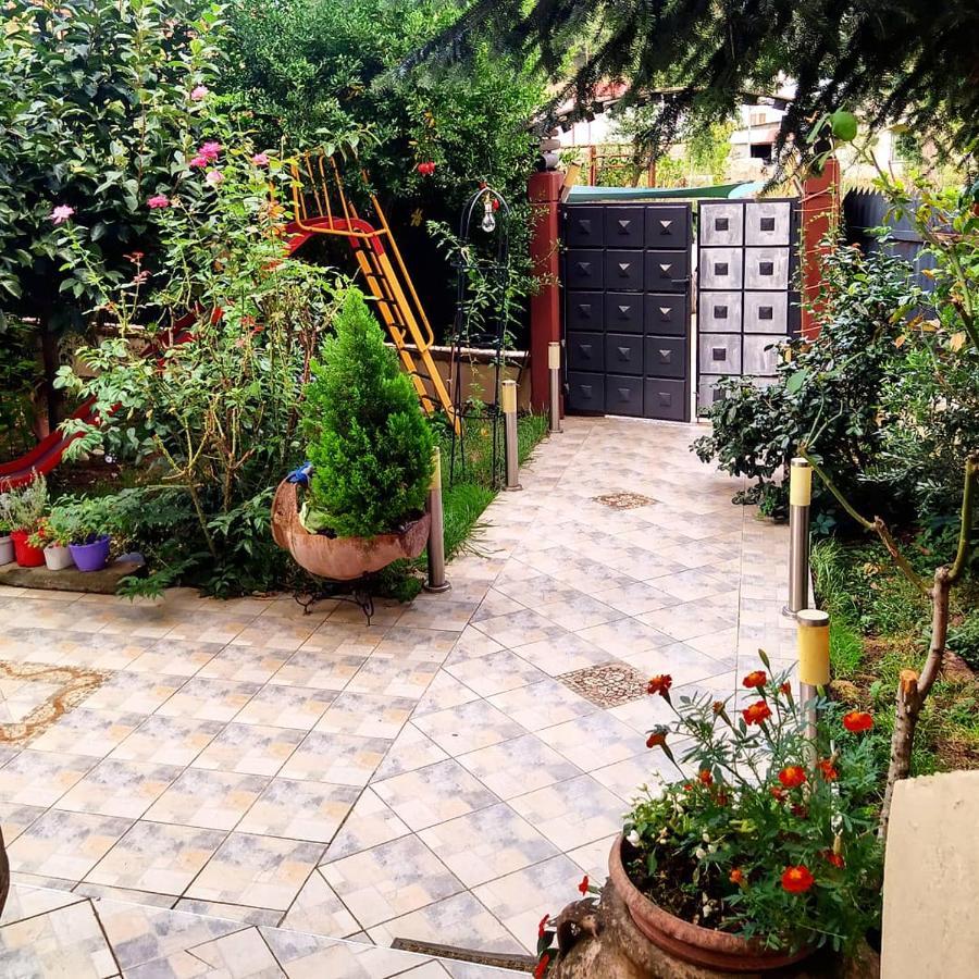 Alexandras Cozy Apartment يانينة المظهر الخارجي الصورة